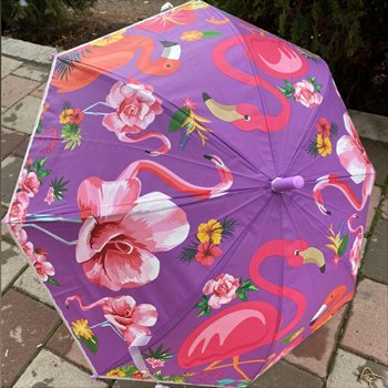 چتر فلامینگو استوایی